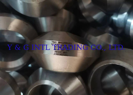 Fittings per la connessione delle flange a filo in acciaio inossidabile e flange per la laminazione dei tubi, comprese le flange LF